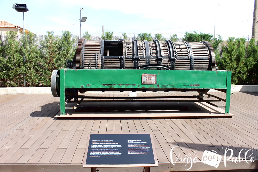 Museo del Vino Pagos del Rey