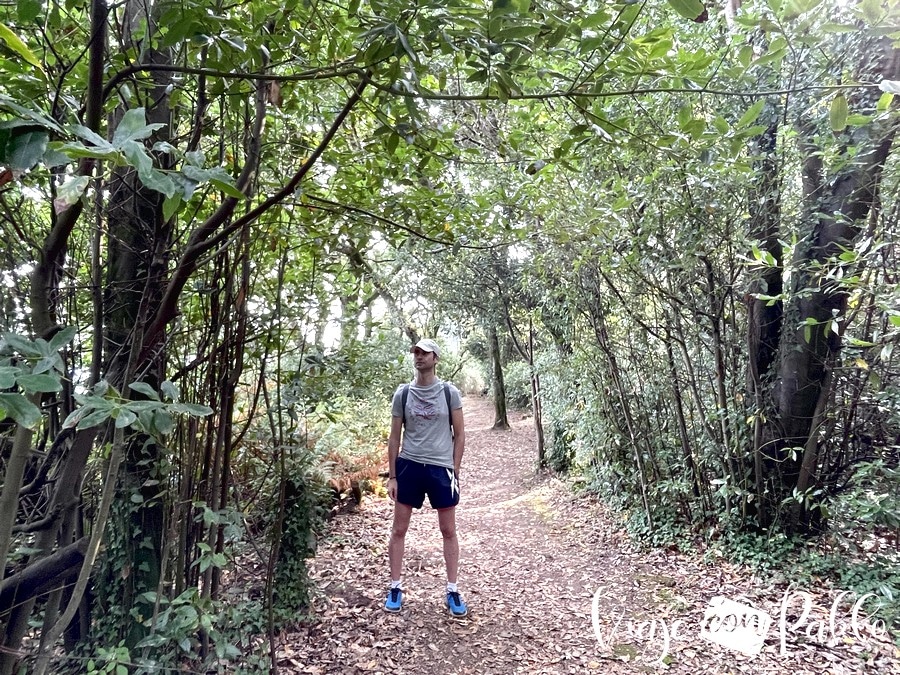 Bosque de la isla de Cortegada