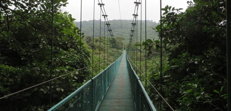 puentes colgantes qué hacer en Monteverde