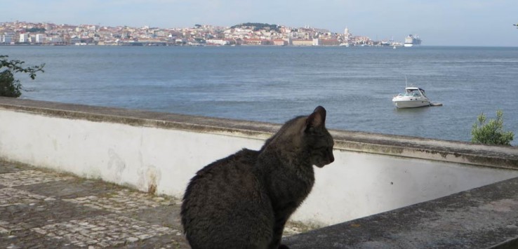 Lisboa desde Cacilhas
