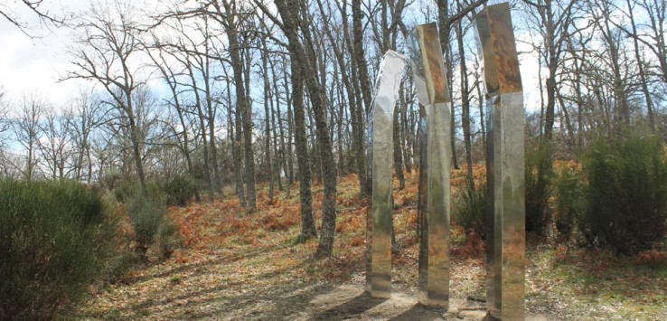 Camino de las Raíces