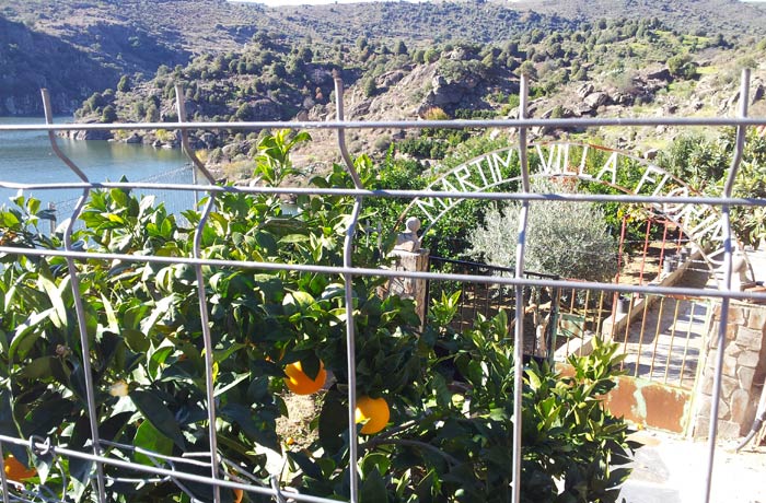 Naranjos junto al paraje de La Barca