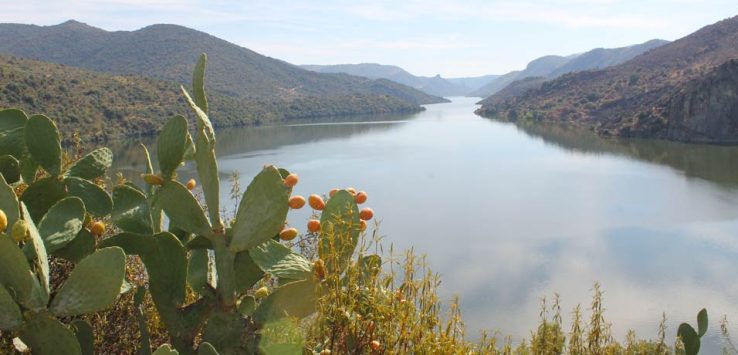 Sendero de la Barca