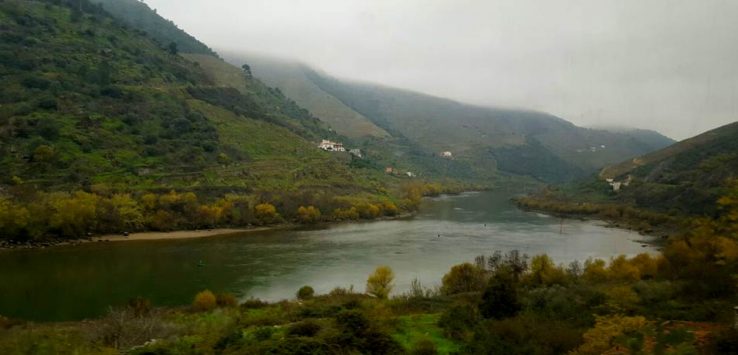Tren Pocinho Regua