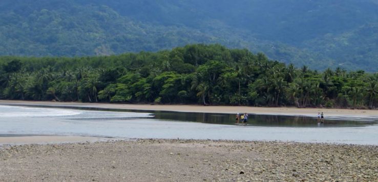 Marino Ballena