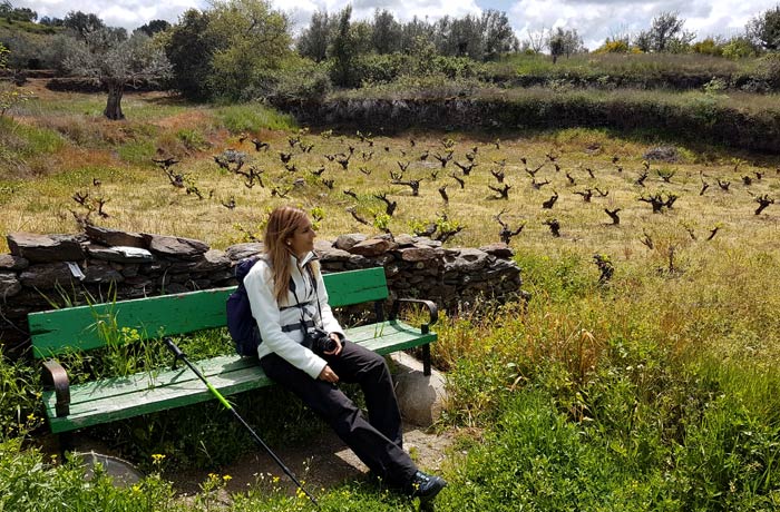 En uno de los bancos del tramo final de la ruta de los Tres Ríos