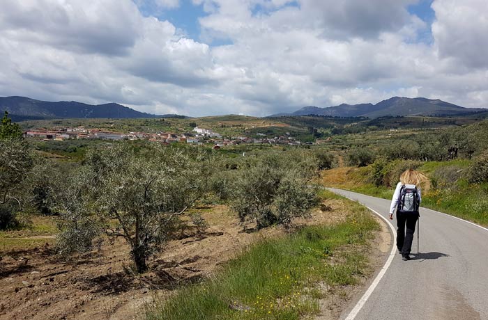 Pista asfaltada en el tramo final de la ruta