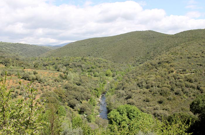 El río Francia, en una vista más panorámica ruta de los Tres Ríos