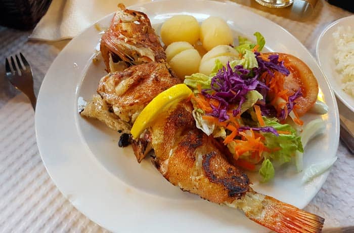 Plato de boca negra en Terceira viajar a las Azores por libre